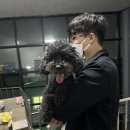 위드펫홈 이미지