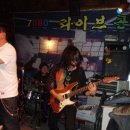 배따라기 이미지