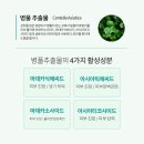 쌍문코지샤인에스테틱
