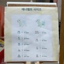 두쫀쿠 맛집, 울산 언양 대형카페 드로핀 후기