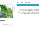 금주초교 이미지