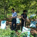 남악농장 이미지