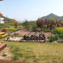 각북면사무소 이미지