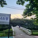 양재시민의숲 테니스장 이미지