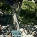 용추자연휴양림야영장 이미지