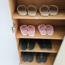 제나스테이 이미지