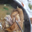 돌산참옻닭 | [연향동삼계탕] '돌산참옻닭' 삼계탕 먹고왔어요!