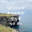 코끼리바위앞민박 | 일본 오키나와 여행 필수코스! 코끼리바위 만좌모 방문 후기 및 꿀팁