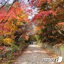 구로-공단-구로-342 | &#34;서울의 가을, 어디가 멋질까&#34;..&#39;11월 걷기여행길 10선&#39;