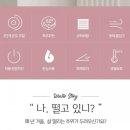 필렉스 네이버블로그