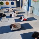 요가 A반 이미지