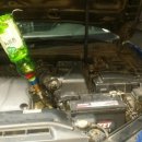 토크모터스 이미지