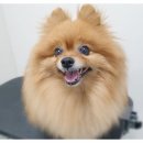 더바름동물병원 이미지