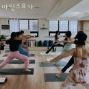 마인스 이미지
