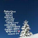 심지 이미지