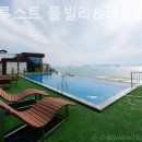 노블 루스트 이미지