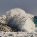 To the Sea 이미지