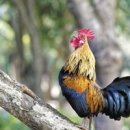 지혜의 소나기 이미지