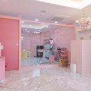 순수하개 이미지