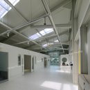 코리아애견샵 이미지