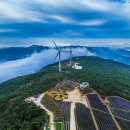 가조농장 | "가을 여행 경비 50% 환급해드려요" 전국에서 보기 드문 가을 꽃밭 풍경을 볼 수 있는 여행지