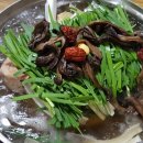 천년오리 이미지