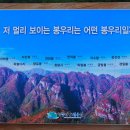 청량산 정상에서 본 전경 이미지