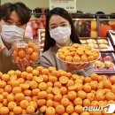제주미니향
