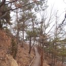 압곡1구 이미지