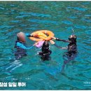 바다와 하루 | 베트남 다낭·호이안 쿨라우참 투어 후기 – 하루 만에 바다와 문화, 스노클링까지 즐기는 완벽 여행
