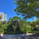 죽전 중앙공원사거리(공원) 이미지