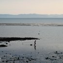 대숲사이 이미지