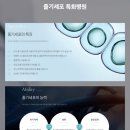 뮤토 이미지