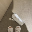 호텔더본제주 | 제주 서귀포 가성비 호텔 더본 제주 만족 숙박 후기 조식 탐모라, 동두반점 먹어본 후기