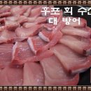 대구맛집/겨울철별미 방어회를 맛보다/후포회수산 이미지