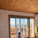 나무앤씨 키즈 이미지