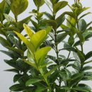 사철슈퍼 이미지