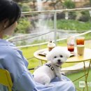 김포동물병원 이미지