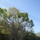 고내경로당 이미지