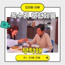 강아지를 부탁해 | 독수리 오형제를 부탁해 돌잔치중에 터진 출생의 비밀 강수, 세리의 멘붕 33화, 34화 후기