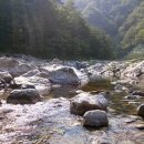 법수치통나무산장 | 양양 법수치 계곡 무료캠핑지
