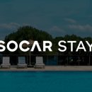 지오 파인트리 이미지