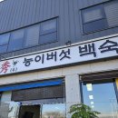 공릉천로 | [고양일산] 든든한 보양식이 필요할 때, 수 능이버섯백숙 내돈내산 후기