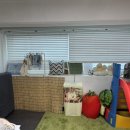 망원견 애견유치원&애견호텔 이미지