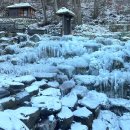 비슬산자연휴양림 이미지