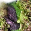 전골과  삼겹살 이미지