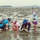 김동철사진연구소