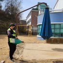 혜전대유치원 이미지