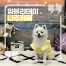 멍블리 수제간식 | 견주들 주목! 사랑스러운 인테리어의 애견 동반 카페 “멍블리데이”