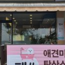 금촌애견 네이버블로그